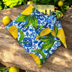Pochette à livre